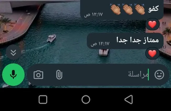 رسالة من عميل 2